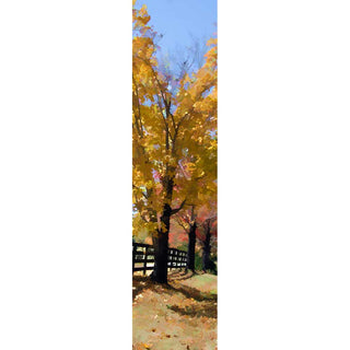 Three trees in full autumn glory line up next to a country fence. Their bright yellow leaves stand out against the blue sky, and beyond them, other trees are dressed in red, green, and orange. Three Trees by Alison Thomas of Serenity Scenes Photography and Digital Art.