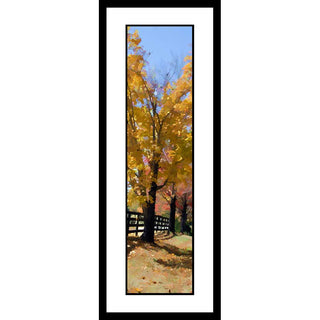 Three trees in full autumn glory line up next to a country fence. Their bright yellow leaves stand out against the blue sky, and beyond them, other trees are dressed in red, green, and orange. Three Trees by Alison Thomas of Serenity Scenes Photography and Digital Art.