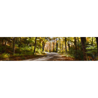 Sunlight filters through thin, autumn trees, their shadows making a pattern on the forest trail.  The path disappears around a curve, where the greens, browns, and oranges of the forest fade into soft pastels. Through the Woods by Alison Thomas of Serenity Scenes Photography and Digital Art.
