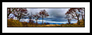 View from the top of a mountain with an angry sky. A cold and windy fall day. Tree Line by Alison Thomas of Serenity Scenes Photography and Digital Art.