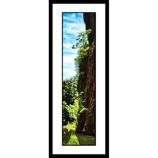 Tree Tower - Vertical Panorama