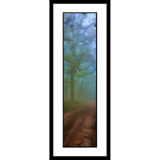 A wide path through the woods has been worn into dirt by people and cars crossing it over the years. Fog veils the distance, making its destination a mystery and bathes the trees lining the path in hues of teal and blue. Uncertain Path by Alison Thomas of Serenity Scenes Photography and Digital Art