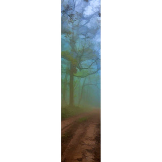 Uncertain Path from the Foggy Scenes grouping by Alison Thomas of Serenity Scenes Photography and Digital Art.