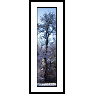 A tall winter tree and the forest around it dusted with snow, the sky and the forest floor both icy blue. The high, bare branches of the tree transform into the geometric shapes of stained glass. Winter Woods by Alison Thomas of Serenity Scenes Photography and Digital Art