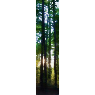 The setting sun shines through tall summer trees, a bright flare caught between two silhouettes. Taken in my own back yard while sitting around the fire pit waiting for dark.  Woods at Sunset by Alison Thomas of Serenity Scenes Photography and Digital Art
