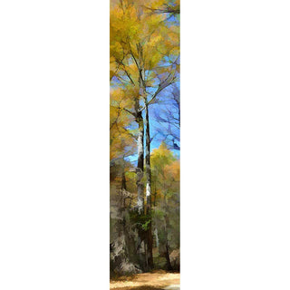 A splash of soft yellow leaves rises above the rest of the forest in the background. Autumn light filters through the leaves above, decorating the tree trunks with light and shadow. Yellow Splash by Alison Thomas of Serenity Scenes Photography and Digital Art