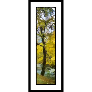 A light breeze blows through an autumn tree next to a stream. The edges of its yellow leaves blend together like watercolors, and a few have come loose and float on the wind. The tree's trunk curves, as though also moved by the air. Yellow Wind by Alison Thomas of Serenity Scenes Photography and Digital Art
